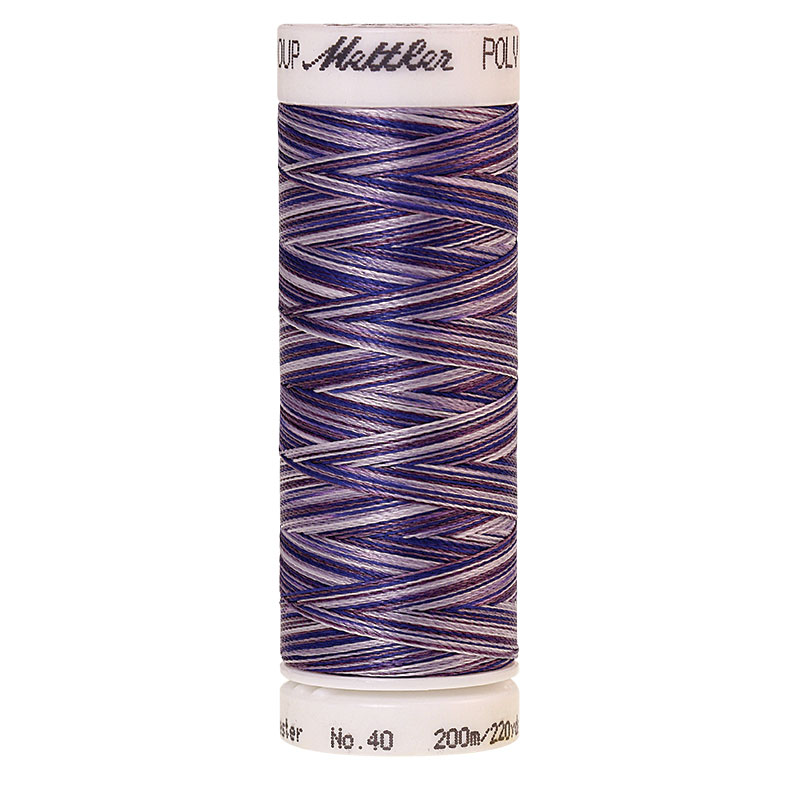 Polysheen Multicolor Thread - Vlt Hus 9921 - 220yds