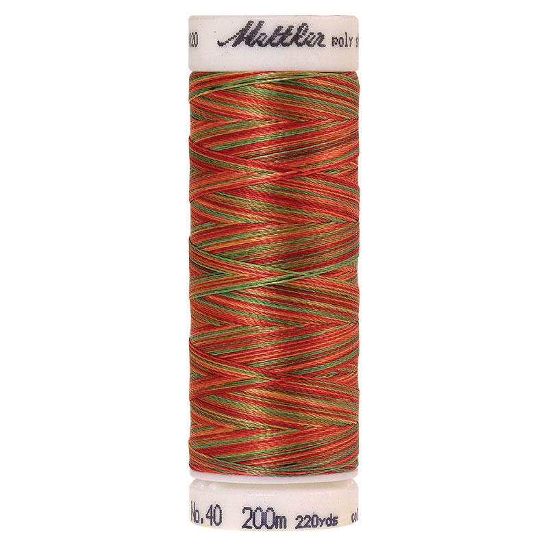 Polysheen Multicolor Thread - Mexican 9939 - 220yds