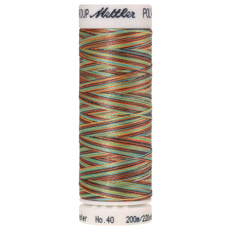 Polysheen Multicolor Thread - Coastal Mix 9974 - 220yds