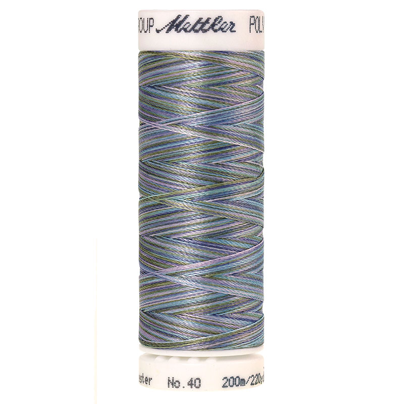 Polysheen Multicolor Thread - Smr Srs 9980 - 220yds