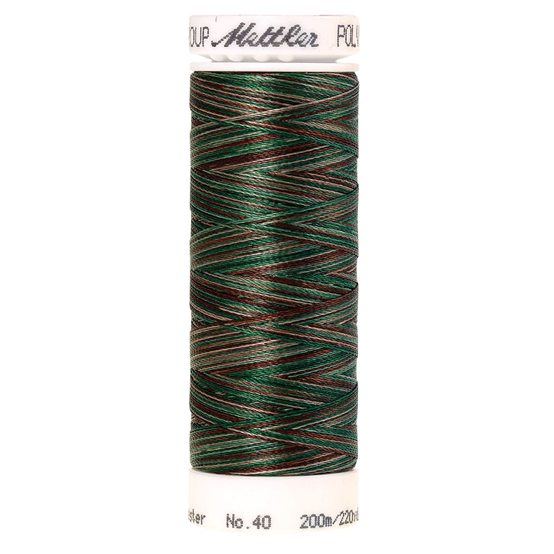 Polysheen Multicolor Thread - Frs Wds 9982 - 220yds