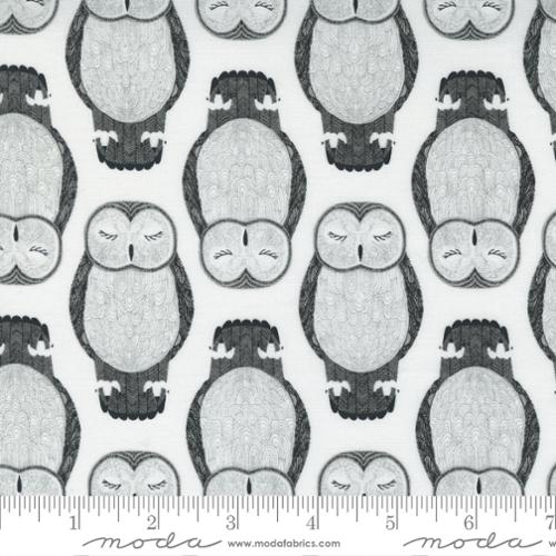 Nocturnal Moon - Sleeping Owls Animal Bird - Quilt Fabric