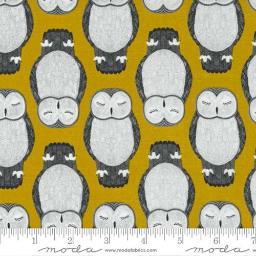 Nocturnal Gold - Sleeping Owls Animal Bird - Quilt Fabric