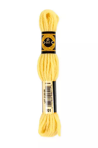 DMC Tapestry Wool Yarn #701