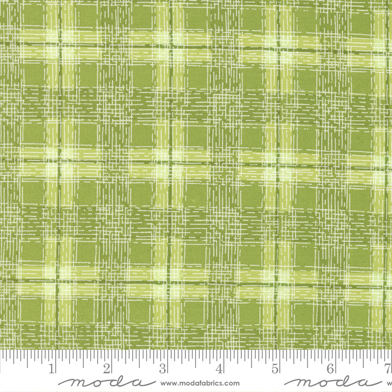 Pansys Posies Fern - Plaids - Quilt Fabric