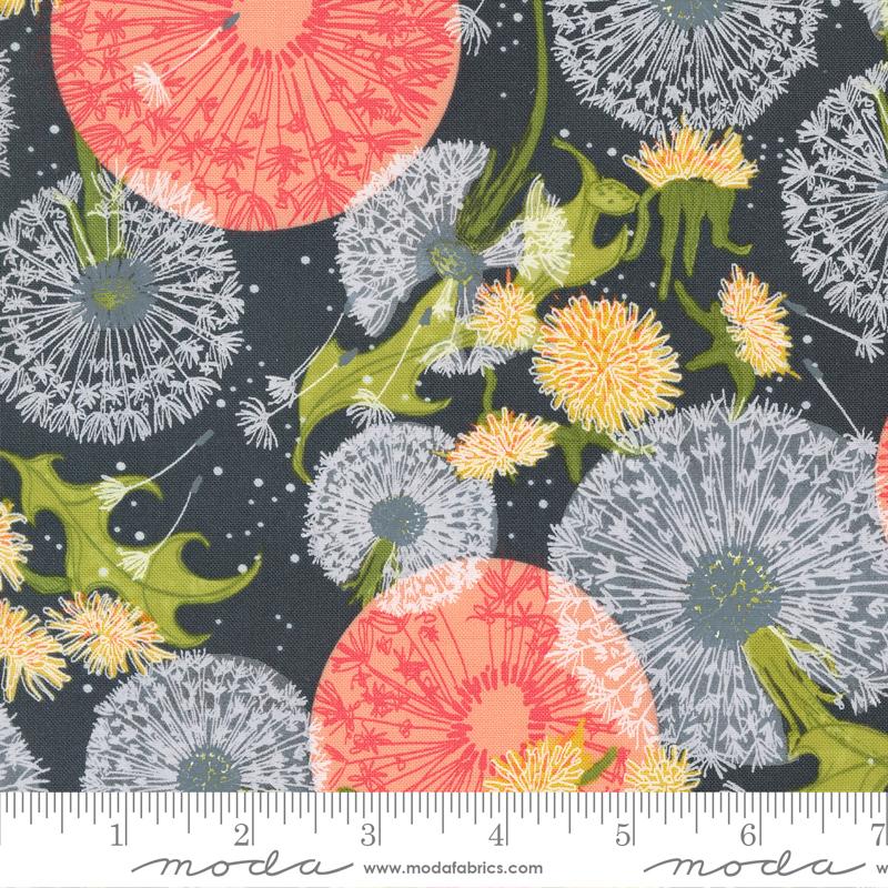 Dandelions Fields Florals - Graphite - Quilt Fabric