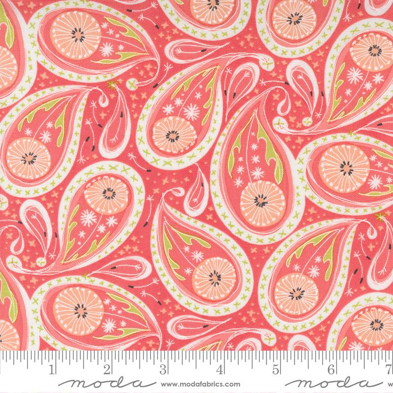 Paisley Paisley - Coral - Quilt Fabric