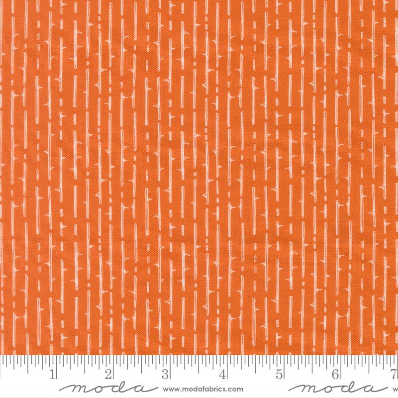 Coven Striped Pupmkin Spice - Quilt Fabric