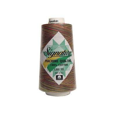 Variegated Cone Thread Brights M01, zoomed in. Select this picture to zoom back out.
