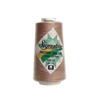 Variegated Cone Thread Victorian M06