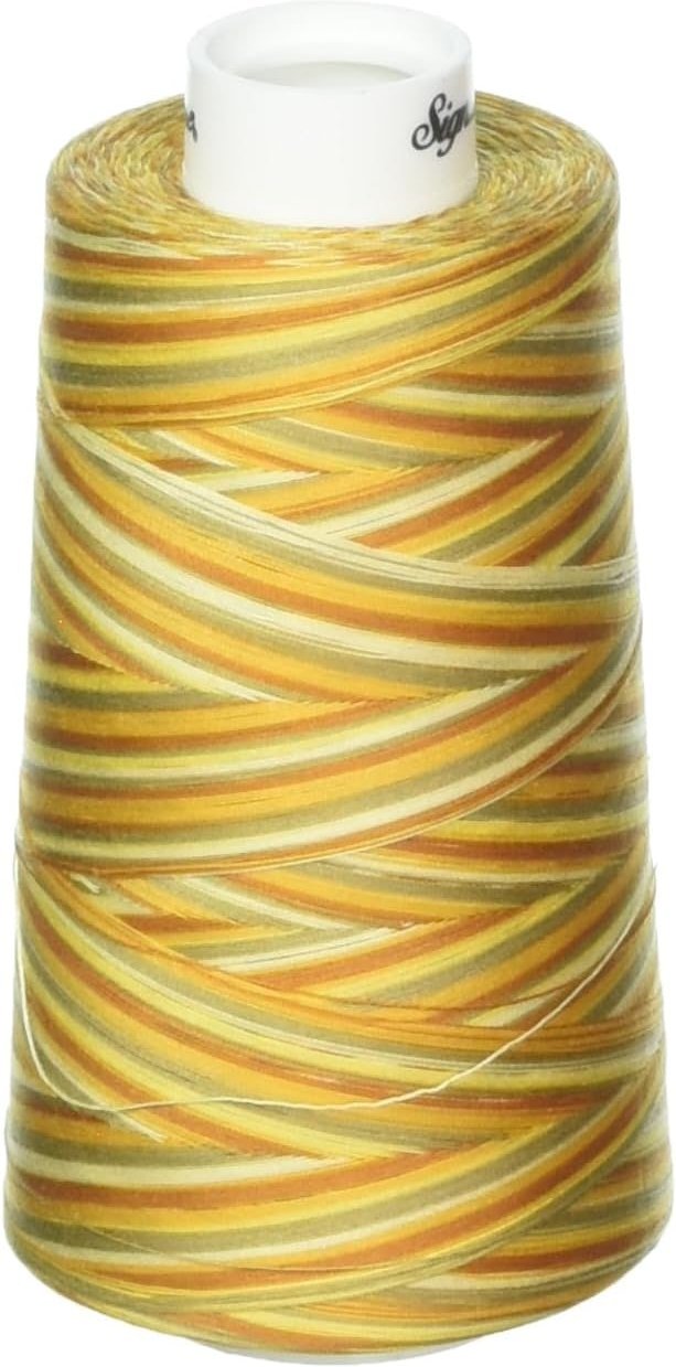 Variegated Cone Thread Golden Harvest M09, zoomed in. Select this picture to zoom back out.