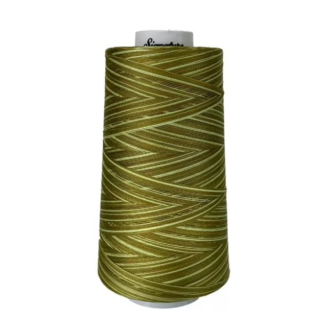 Variegated Cone Thread Limey Green M84, zoomed in. Select this picture to zoom back out.
