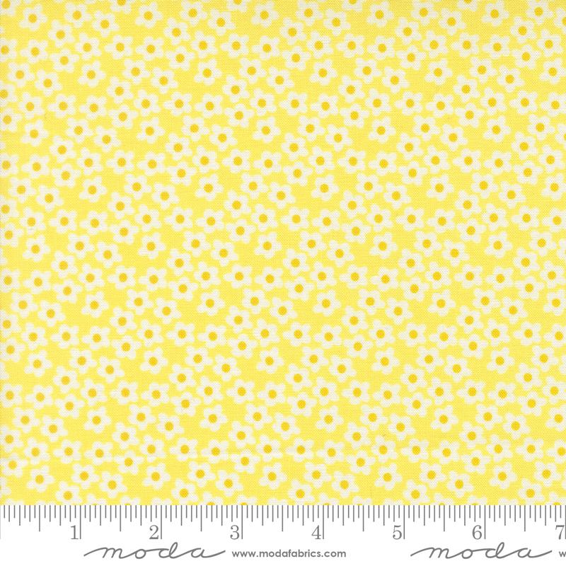 Popcorn Flowers Sunshine - Quilt Fabric, zoomed in. Select this picture to zoom back out.