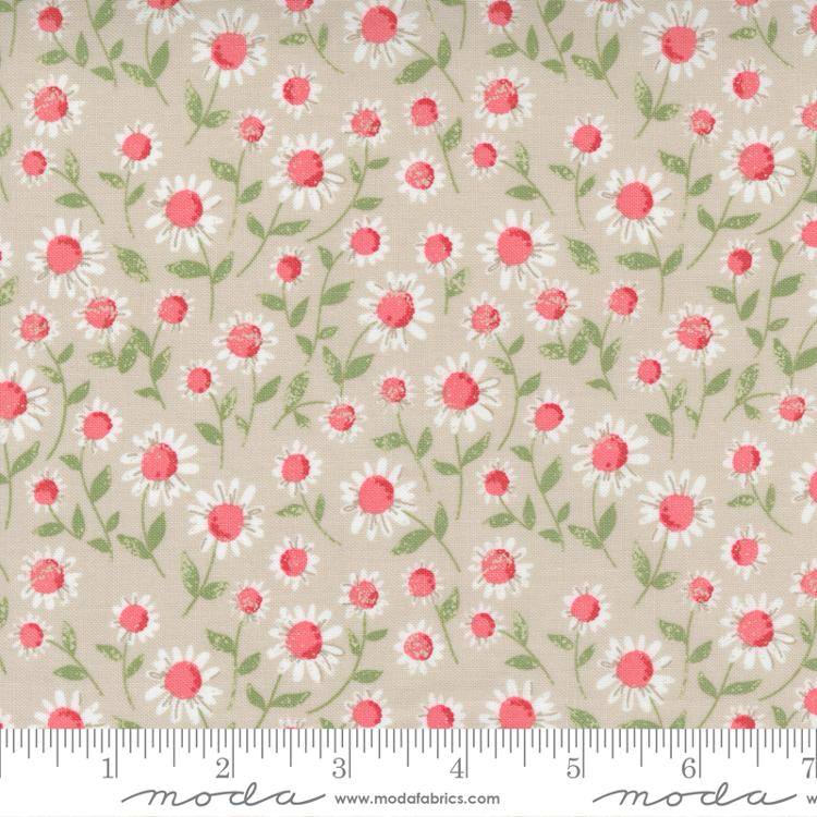 Love Note Dove - Sweet Daisy - Quilt Fabric