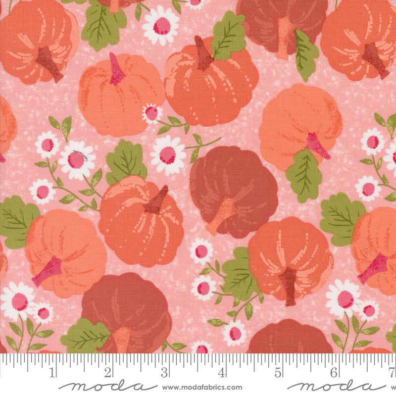Hey Boo Bubble Gum Pink - Quilt Fabric