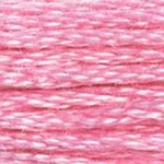 DMC Floss Cone #604 - Cranberry Light