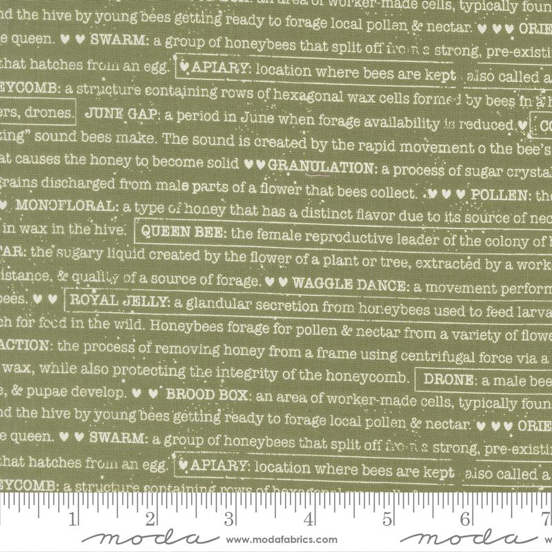 Wild Honey Text Fern - Quilt Fabric