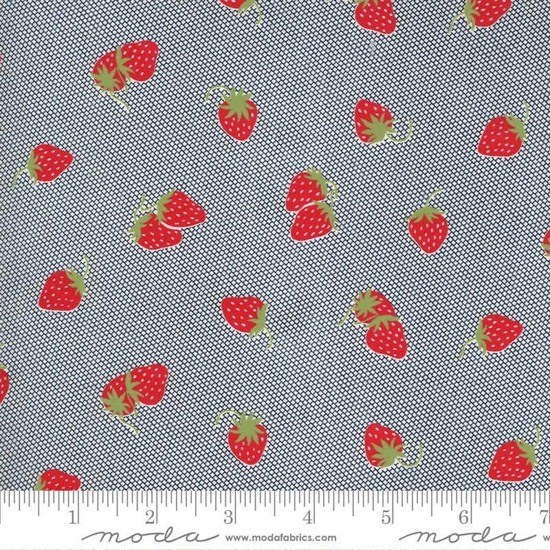 Sunday Stroll Navy - Berry Patch - Quilt Fabric