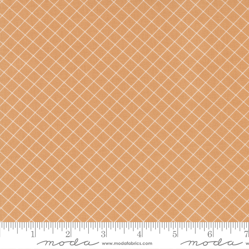 Sunnyside Graph Apricot - Quilt Fabric