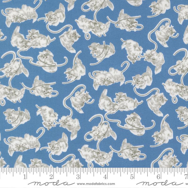 A Cat Named Stitch Kitten Blue - Quilt Fabric