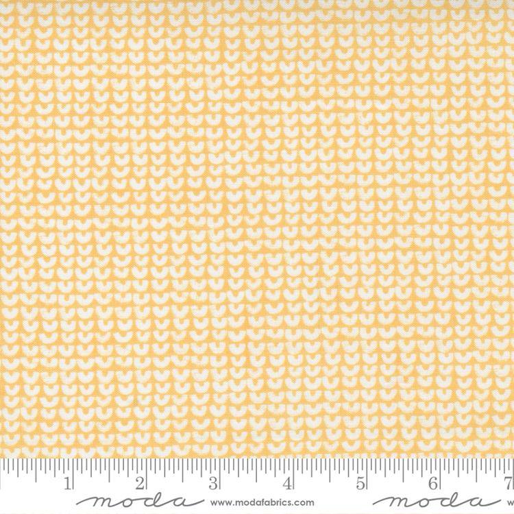 Renew Half Full Sunshine - Quilt Fabric