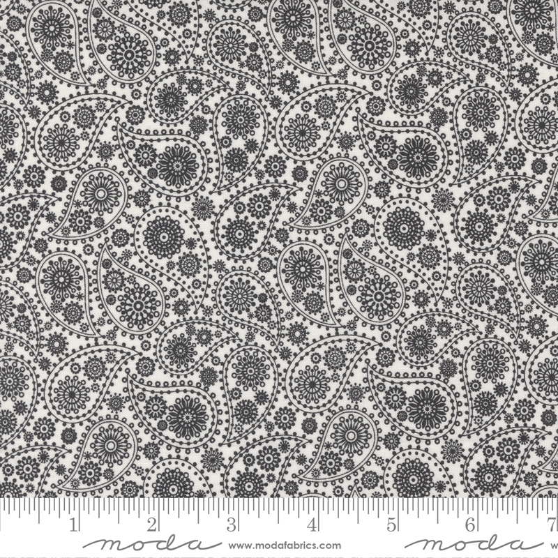 Late October Black - Paisley - Quilt Fabric
