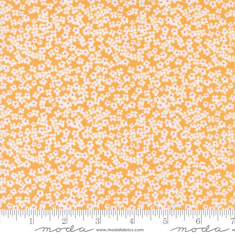 Shine Orangesicle - Quilt Fabric