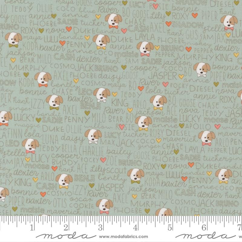 Lucky Buddies Sky - Quilt Fabric
