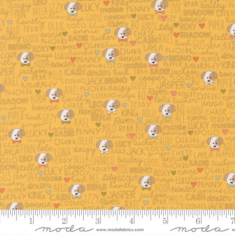 Lucky Buddies Sun - Quilt Fabric