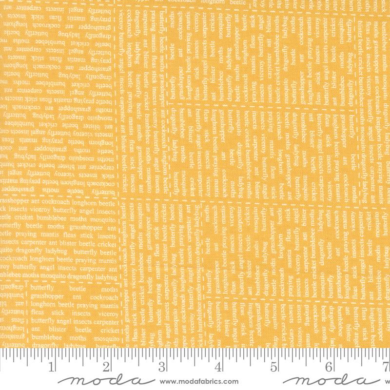 Bug Collector Text Sunshine - Quilt Fabric, zoomed in. Select this picture to zoom back out.
