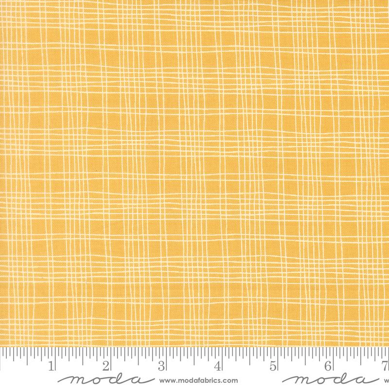 Bug Collector Plaid Sunshine - Quilt Fabric, zoomed in. Select this picture to zoom back out.