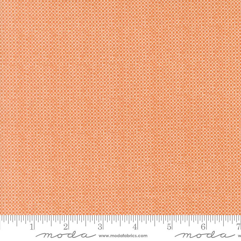 Bug Collector Circles Orange - Quilt Fabric, zoomed in. Select this picture to zoom back out.