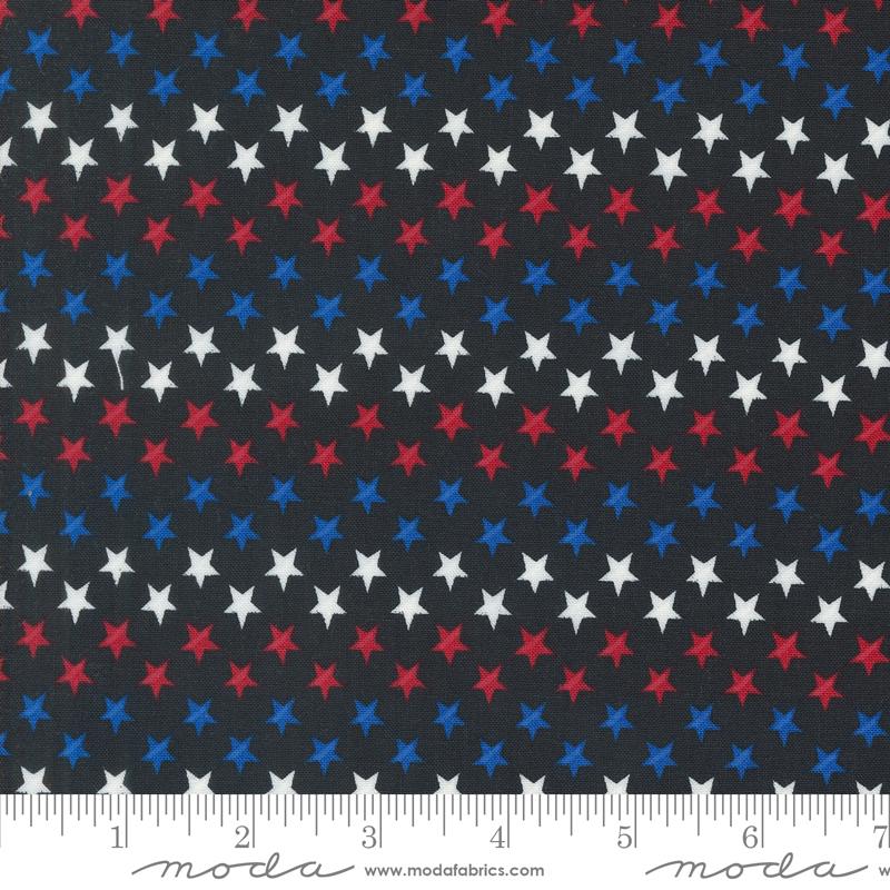Red White Bloom Stars - Black - Quilt Fabric