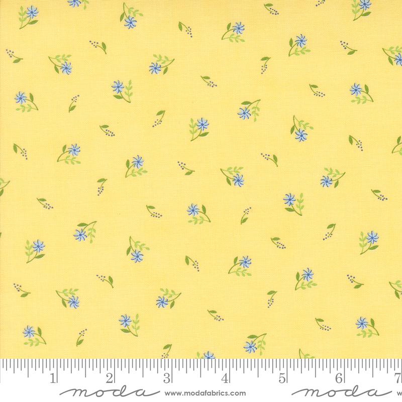 On Lake Time Flower - Daisy - Quilt Fabric