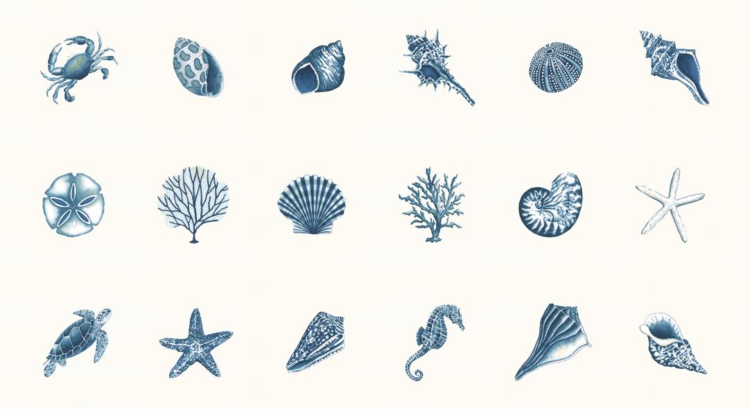 Seaside Panel Shells Seafoam White - Quilt Fabric, zoomed in. Select this picture to zoom back out.