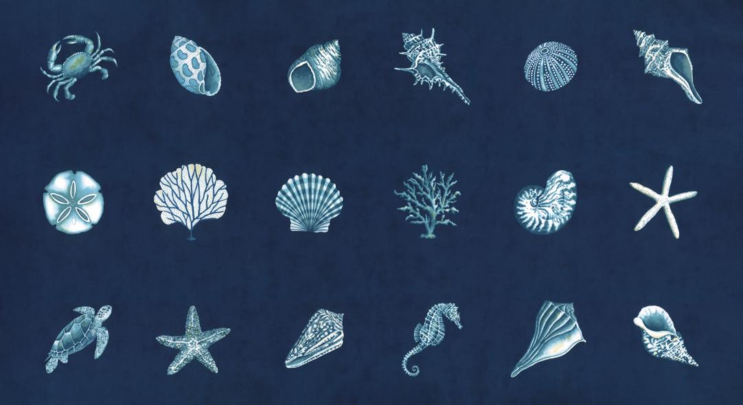 Seaside Panel Shells Deep Sea - Quilt Fabric, zoomed in. Select this picture to zoom back out.