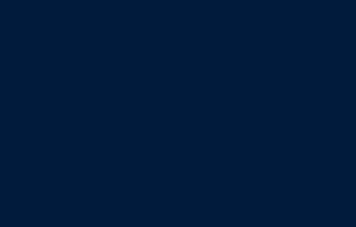 Silk Thread 109yd French Navy 009