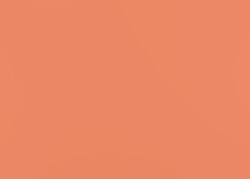Silk Thread 109yd Shrimp 061