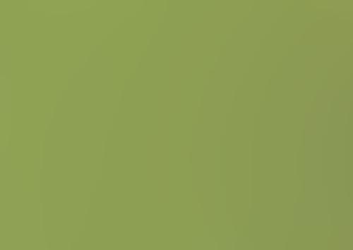 Silk Thread 109yd Chartreuse 096