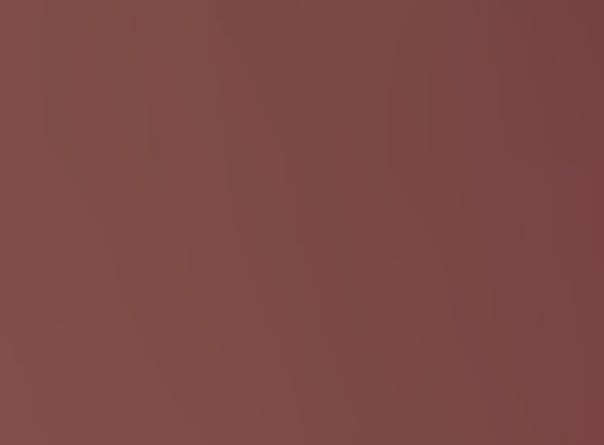 Silk Thread 109yd Nutmeg 116