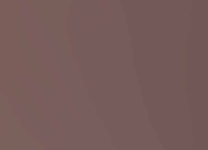 Silk Thread 109yd Rosewood 121