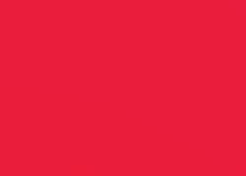 Silk Thread 109yd Red 155