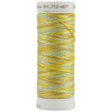 Seaside - Sulky 12wt Blendables Cotton Petites Thread