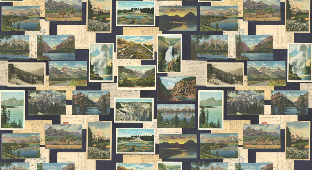 Outdoorsy Night Sky - Mountain Postcards - Quilt Fabric