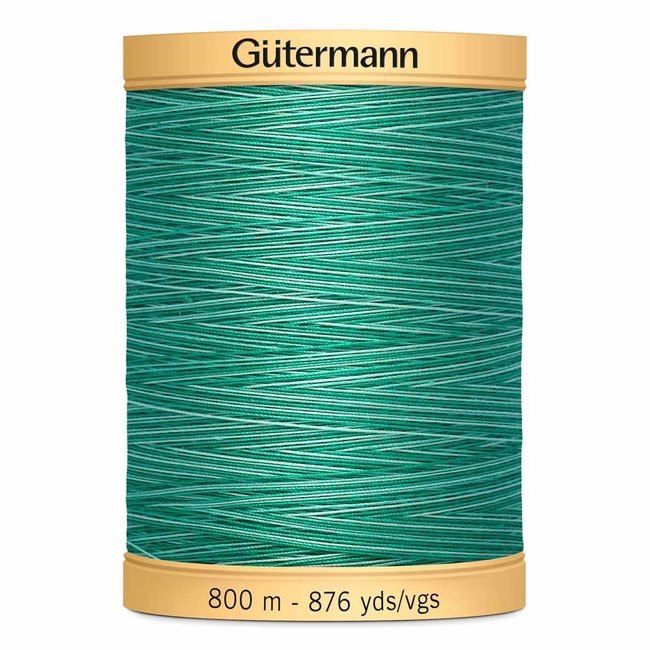 Variegated Cotton Thread 800m Bahama Ocean 989