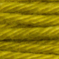 DMC Soft Matte Cotton Thread - 2145 Light Bronzed Green