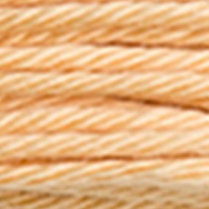 DMC Soft Matte Cotton Thread - 2158 Buff, zoomed in. Select this picture to zoom back out.