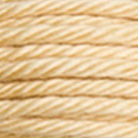 DMC Soft Matte Cotton Thread - 2738 Camel