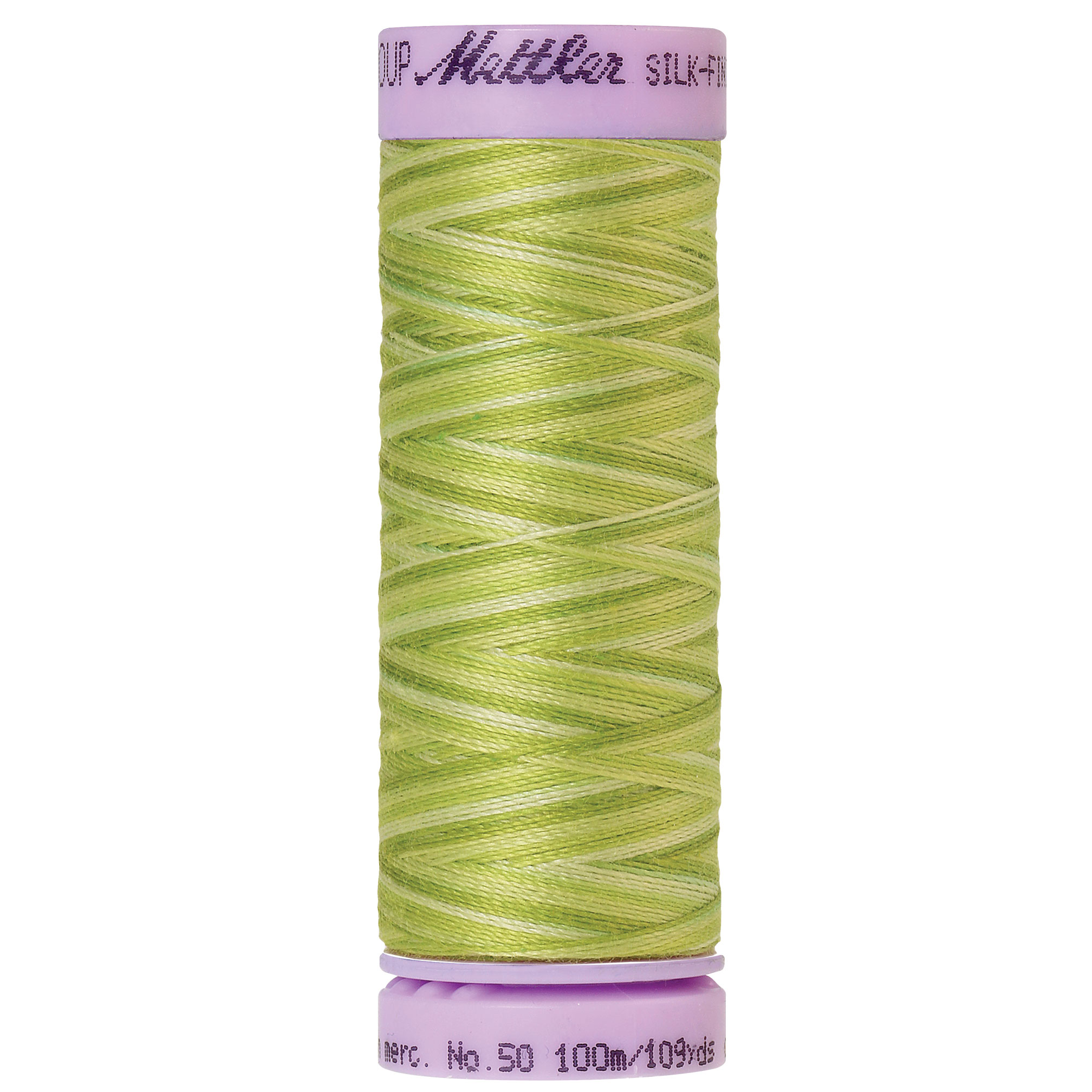 Silk Finish Thread Multi-color Little Sprouts 9817