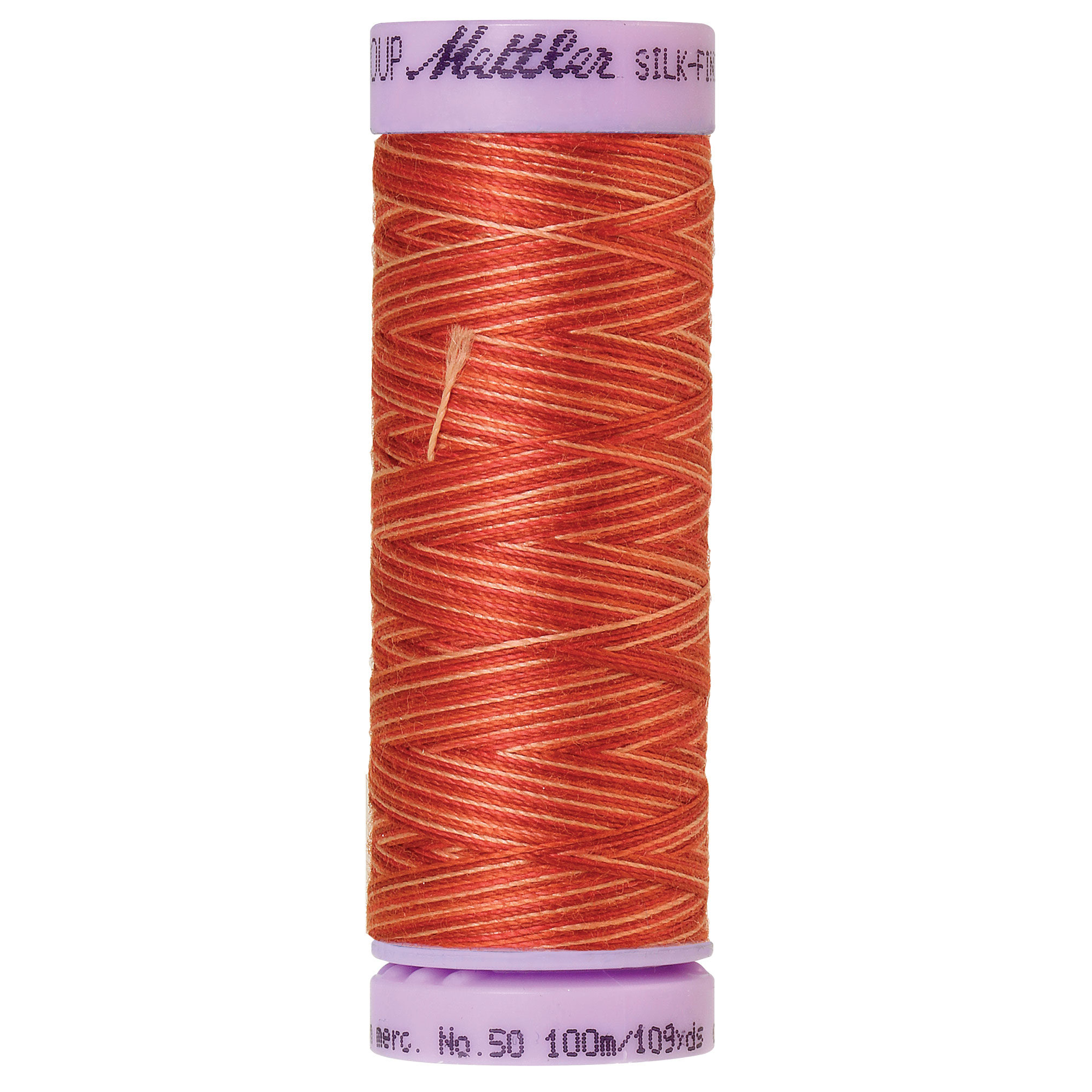 Silk Finish Thread Multicolor Terra Tones 9832